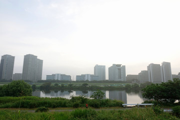 朝の静かな川辺_761