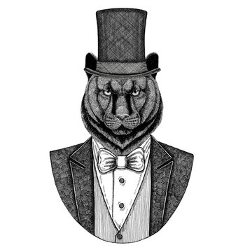 Panther, Puma, Cougar, Wild cat. Animal wearing jacket with bow-tie and silk hat, beaver hat, cylinder top hat. Elegant vintage animal. Image for tattoo, t-shirt, emblem, badge, logo, patch