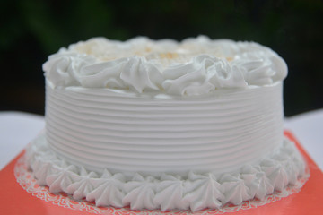 Obraz na płótnie Canvas Homemade Coconut Fresh Cream Cake