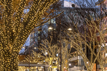 表参道　都会の冬のイルミネーション９