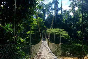 Fotobehang Danum Valley in Sabah 3, Malaysian Borneo © zampe238