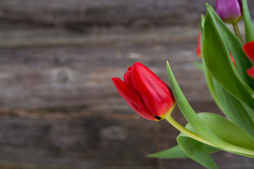 bouquet of red and violet tulips in front of wooden background