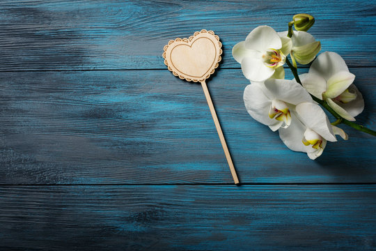 White Orchid on blue wooden background