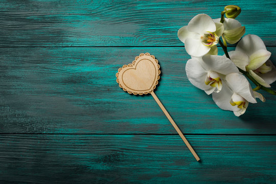 White Orchid on blue wooden background