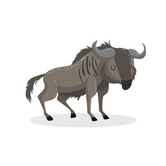 Cartoon trendy design wildebeest standing. African wildlife animal isolated on white background. Vector gnu illustration.