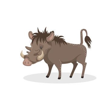 Cartoon trendy design african pig warthog. Wildlife and zoo vector illustration.