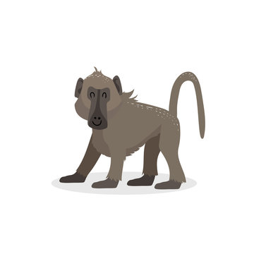 Cartoon trendy design walking baboon monkey. African wildlife animal isolated on white background. Vector ape  illustration.