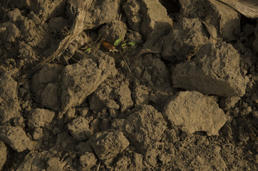 texture soil dry stock images