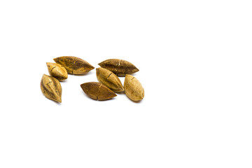 Pili nuts on white background