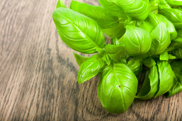 Basil