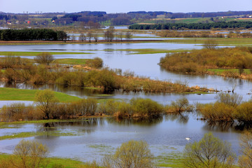 Fototapeta na wymiar Panoramic view of wetlands and meadows of the Biebrzanski National Park by the Biebrza river in Poland