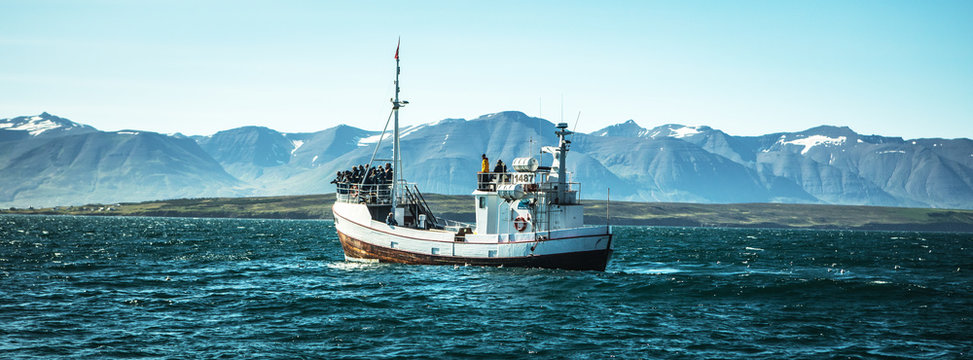 Icelandic fishing boat for whale watching.