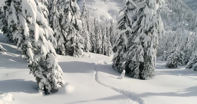 Snowboarder Riding Board Through Powder Snow Field Ski Resort Sunny Winter Day