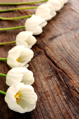 Weiße Tulpen auf Vintage Holzhintergrund