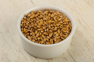 Wheat grains