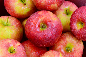close up from many red apples