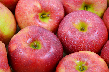 Fototapeta na wymiar many apples