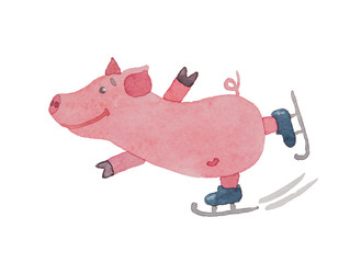 Happy pink piglet rolling on ice skates painted with watercolor on a white background