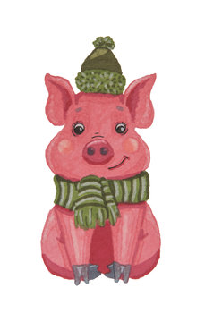 Beautiful pink pig in a scarf and hat painted with watercolor markers on a white background