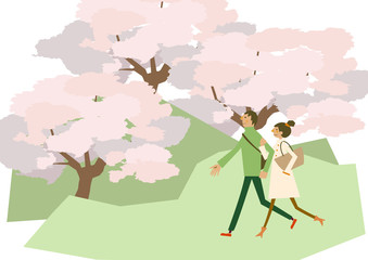Naklejka na ściany i meble 満開の桜と散歩するカップル。春のクリップアート。