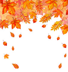 Background with autumn orange watercolor leaves