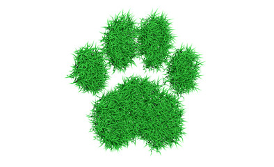 3d rendering footprint of an animal with grass