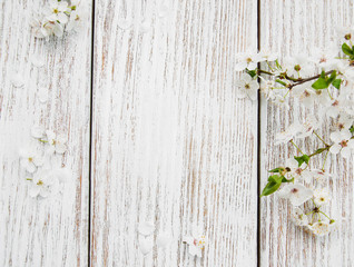 Spring cherries blossom