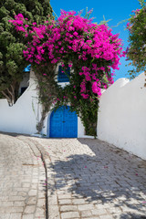  View of the white wall with a blue door and a window covered with a bush of flowering bougainvillea. Tunisia. Sidi Bou Said.