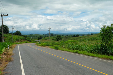 Fototapeta premium Country road passing through a field on which grow corn