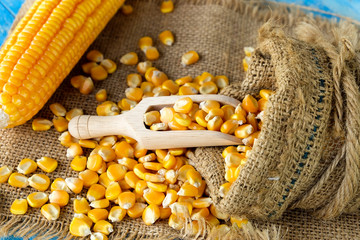 Grains of ripe corn on wooden background. Corn cob on wooden background