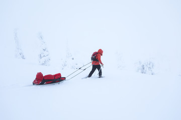 A warmly dressed woman hiking through fresh white arctic snow with snow shoes on a cold winter day. Riisitunturi, Ruka, Finland.