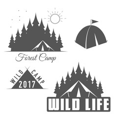 Wild Life - Forest Camp - Scout Club Vector Emblem