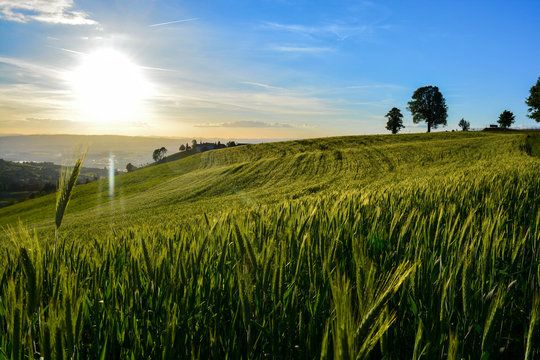 Zugerland im Sommer