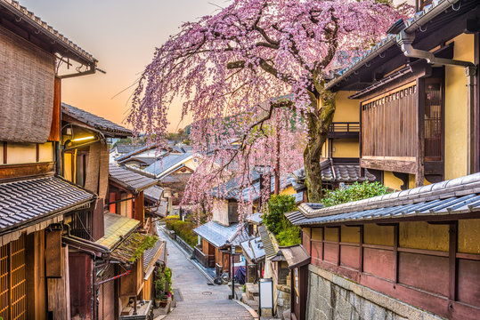 Fototapeta Kyoto, Japan in Spring