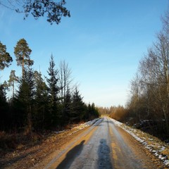 Fototapeta na wymiar Countryside dirt road in sunny winter day