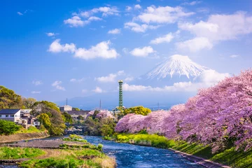 Tuinposter Mt. Fuji in Spring © SeanPavonePhoto