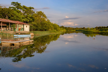 Fototapeta premium Damas Island mangrove area - Costa Rica