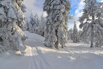 Foto Wintesport im Fichtelgebirge am Ochsenkopf