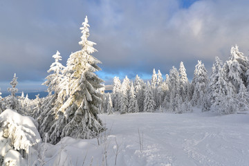 Foto Wintesport im Fichtelgebirge am Ochsenkopf