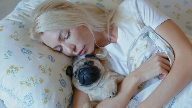 White woman slep in bed with puppy pug. Top view.