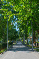 alley in palanga