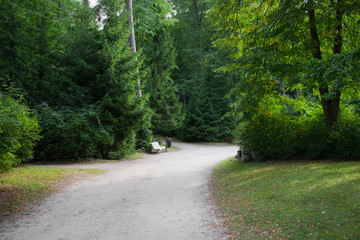 Fototapeta premium park path with benches 
