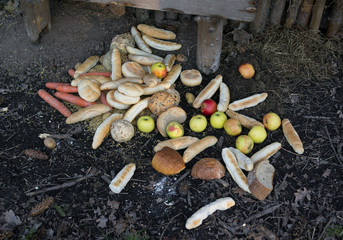 Feeding animal in the forest or farm. Vegetable, fruit, baked goods and bread in the feeder on the ground. Leaves, cones and brances around heap.