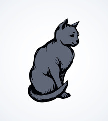 Cat. Vector drawing