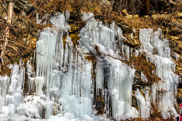 Winter Icing - 12