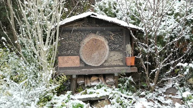 wild bee insect hotel in winter time. snowing in garden