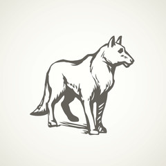 Wolf. Vector drawing