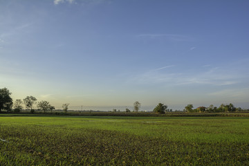 Landscape fields in rural Thailand with morning sun .