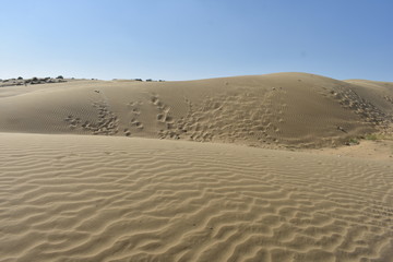 sam sand dunes in thar desert jaisalmer rajasthan india