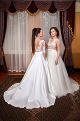 Fototapeta premium Two brides in gorgeous wedding dress studio portrait.